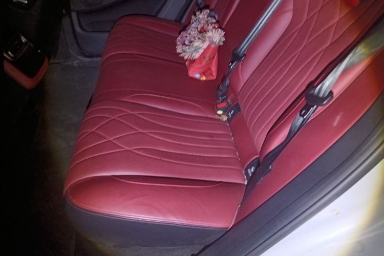 Used EXEED Stellar 2023 400T Two-Wheel Drive Comfort Edition Left Rear Seat