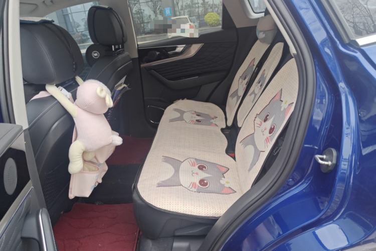 Used Hongqi HS5 2022 Revised Version 2.0T Smart Connect Flagship Edition