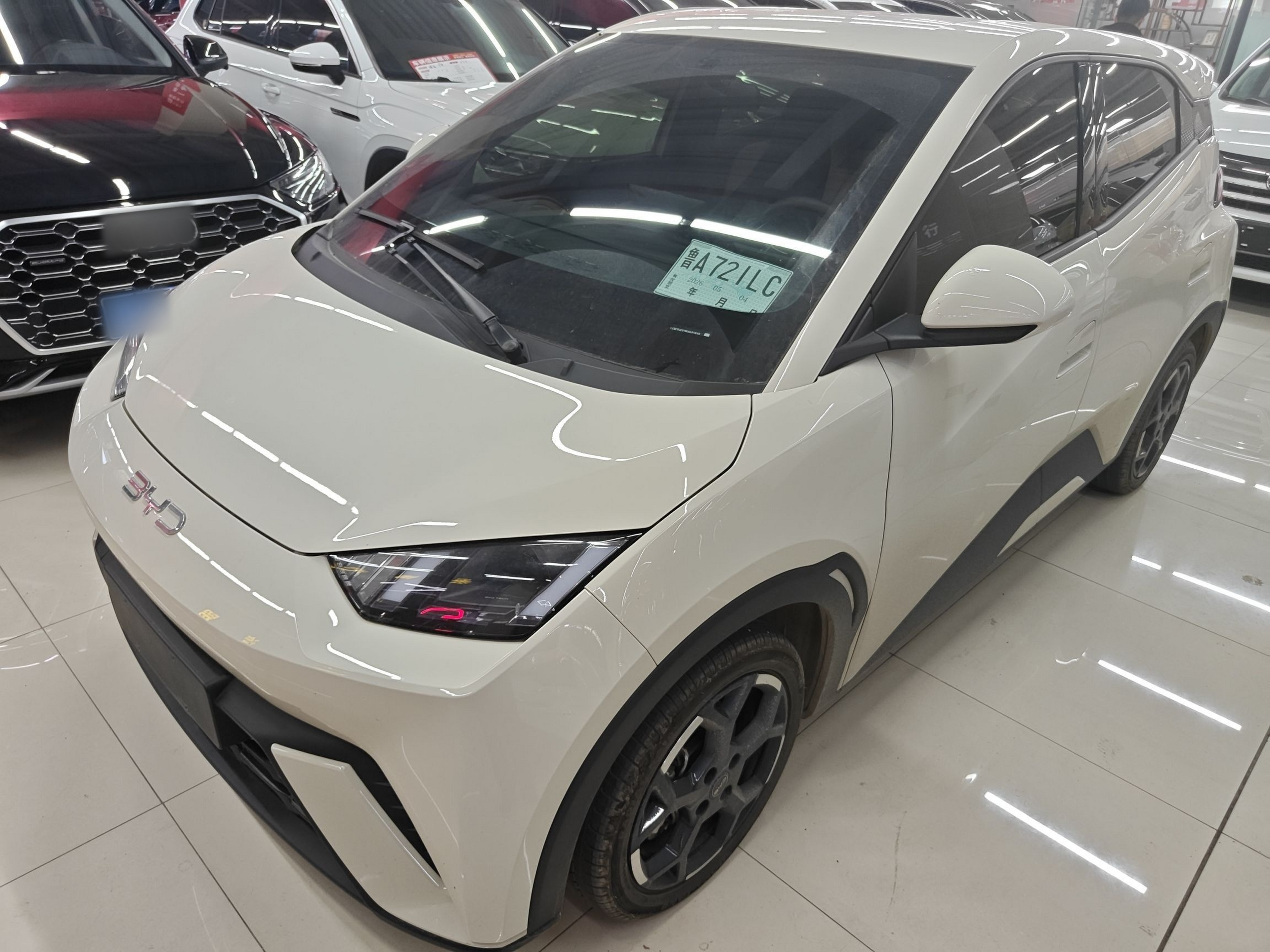 Parte inferior delantera