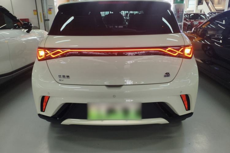 Used BYD Dolphin 2023 420 km Fashion Edition Rear