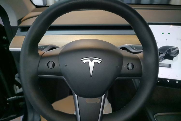 Used Tesla Model Y 2022 Revised Version Long-Range All-Wheel Drive