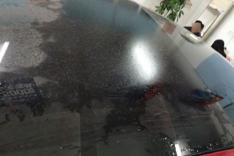 Used Tesla Model 3 2020 Standard Range Rear-Wheel Drive Upgraded Version