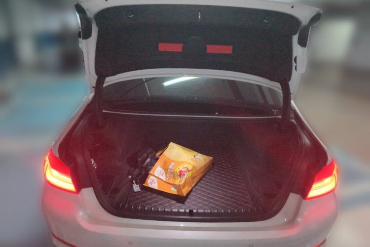 Used BMW 5 Series 2018 528Li Launch Special Edition