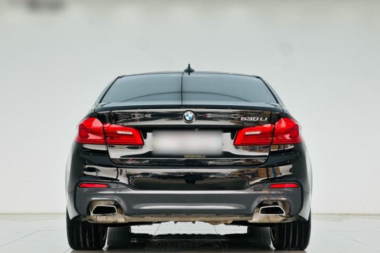 Used BMW 5 Series 2019 530Li Luxury Edition M Sport Package
