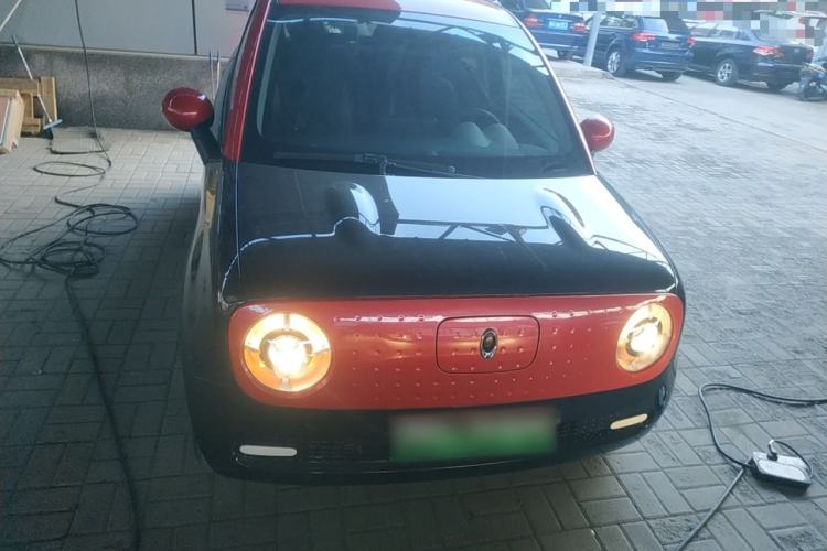 Used ORA Black Cat 2019 301km Standard Edition