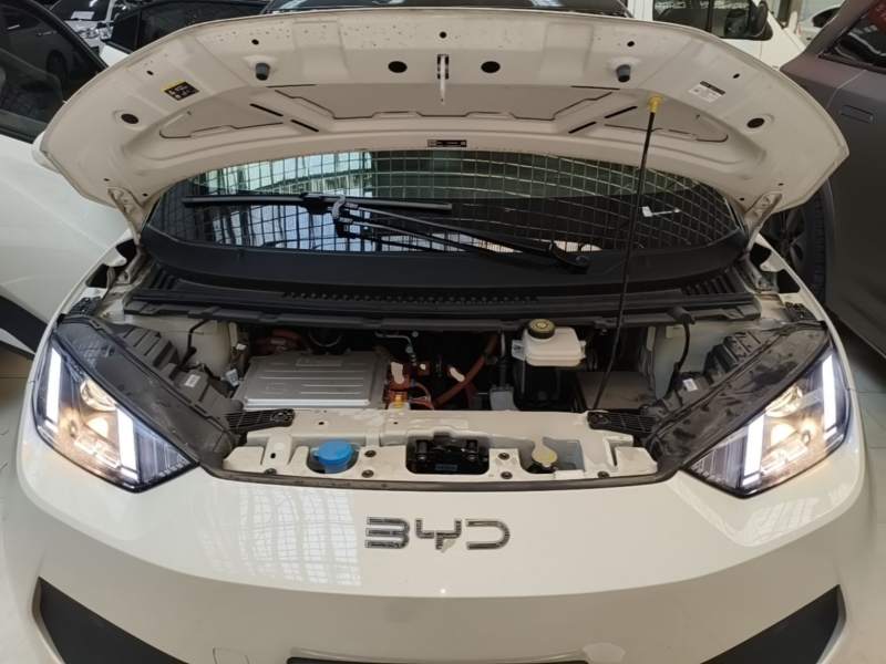 Used BYD Seagull 2025 305km Active Version — 19