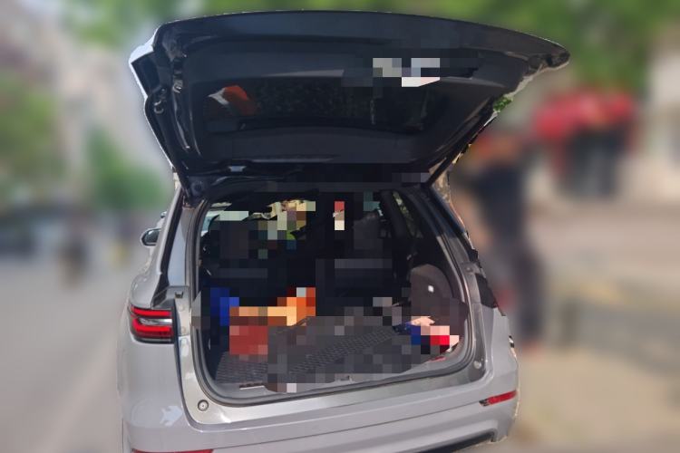 Used Li Auto ONE 2020 Extended-Range 6-Seater Version Trunk