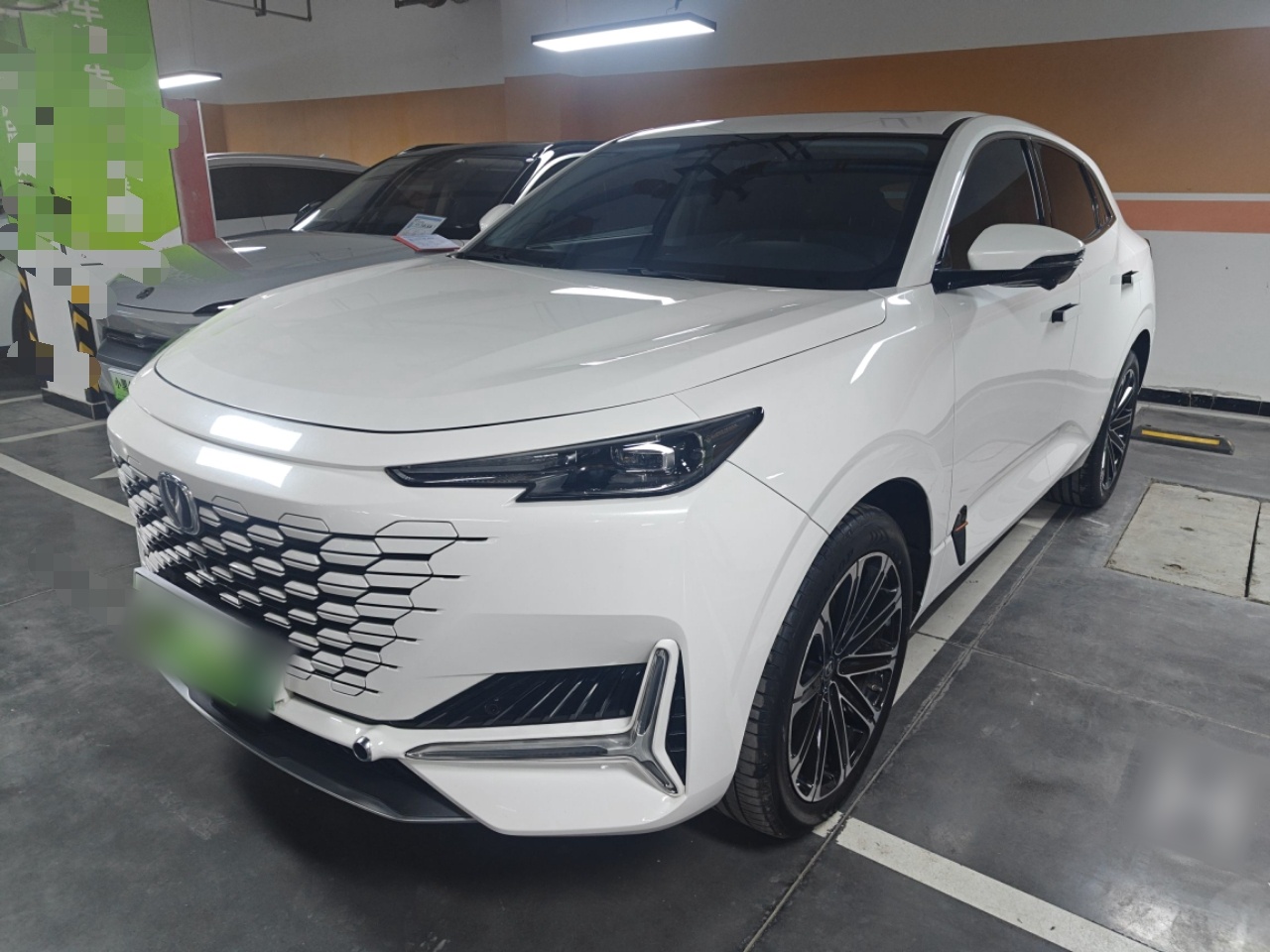 Parte inferior delantera