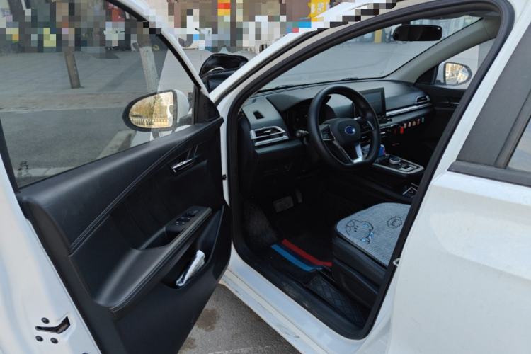 Used BYD e2 2019 Long-Range Version Yao·Luxury Trim
