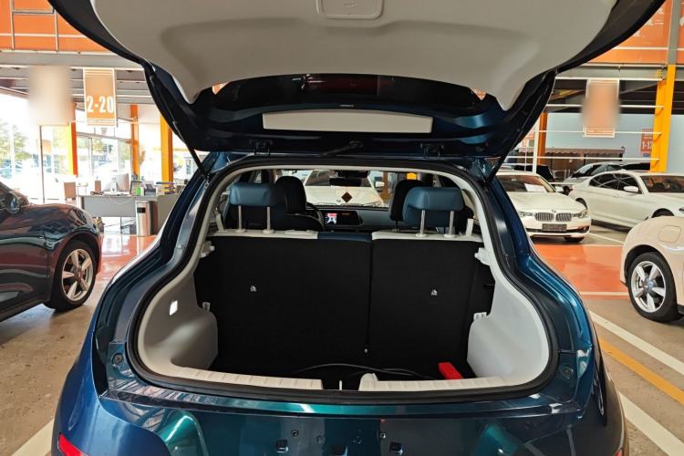 Used ORA Good Cat 2022 Morandi Edition 400km Standard Range Luxury Version Lithium-Ion Battery
