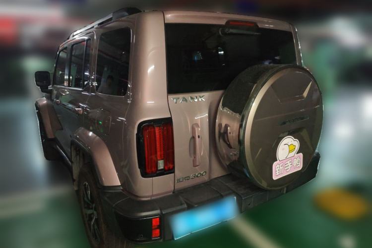 Used Tank 300 2021 City Edition 2.0T—Truly Stylish