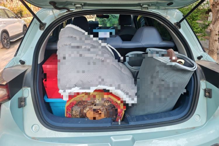 Used Geometry E 2022 320KM Cute Tiger 5-Seater Trunk