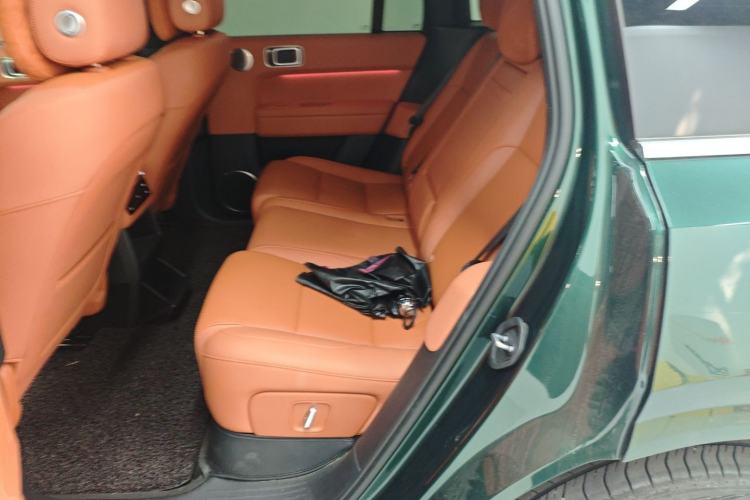 Used Li Auto L6 2024 Pro Model Left Rear Seat