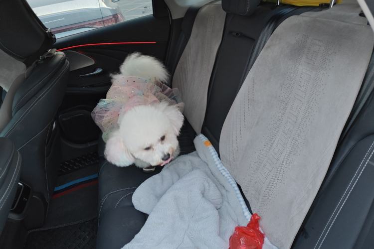 Used Chery Arrizo 8 2023 High-Performance Edition 2.0T DCT Powerfully Equipped Left Rear Seat