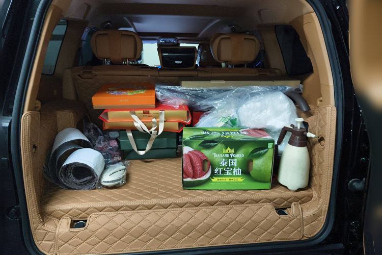 Used Tank 500 New Energy 2024 Hi4-T
