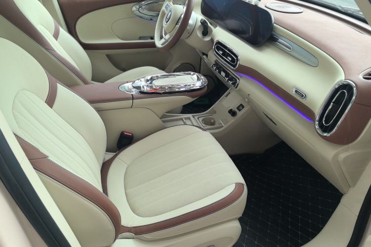 Used ORA Ballet Cat 2023 401 km Luxury Version