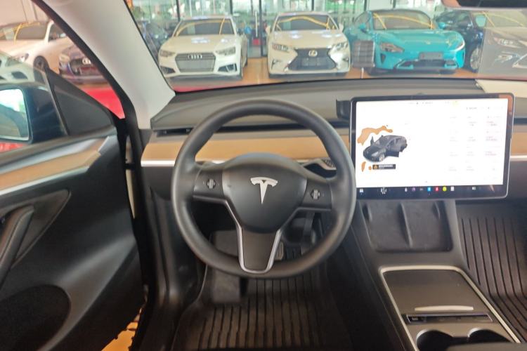 Used Tesla Model Y 2021 Standard Range Rear-Wheel Drive Version
