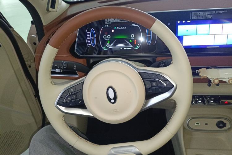 Used ORA Good Cat 2023 401 km Standard Range Premium Version Lithium Iron Phosphate
