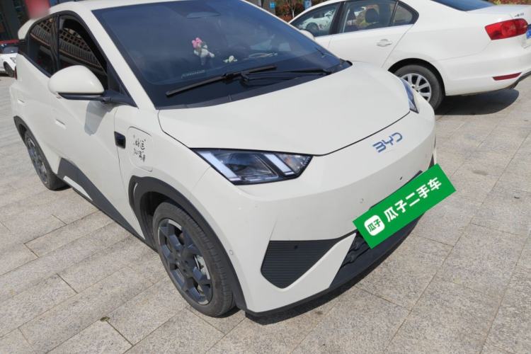 Used BYD Seagull 2025 Smart Drive Version 305 km Freedom Edition
