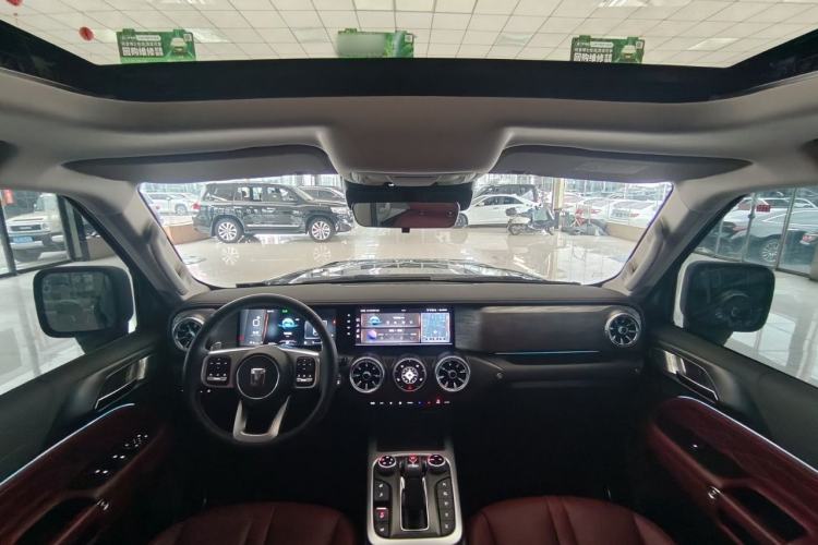 Used Tank 300 2024 2.0T Conqueror