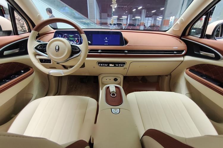 Used ORA Good Cat 2023 401 km Standard Range Luxury Version Lithium Iron Phosphate
