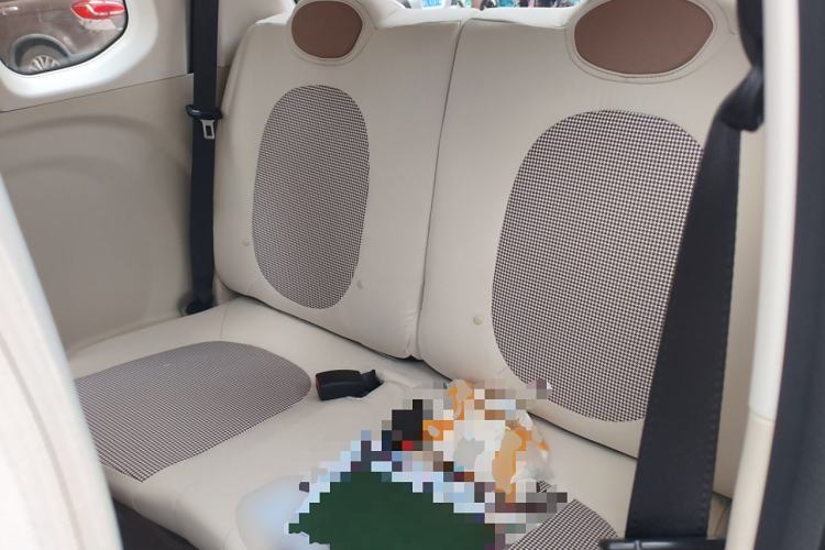 Used Bestune Pony 2025 222km Range Agile Horse Left Rear Seat