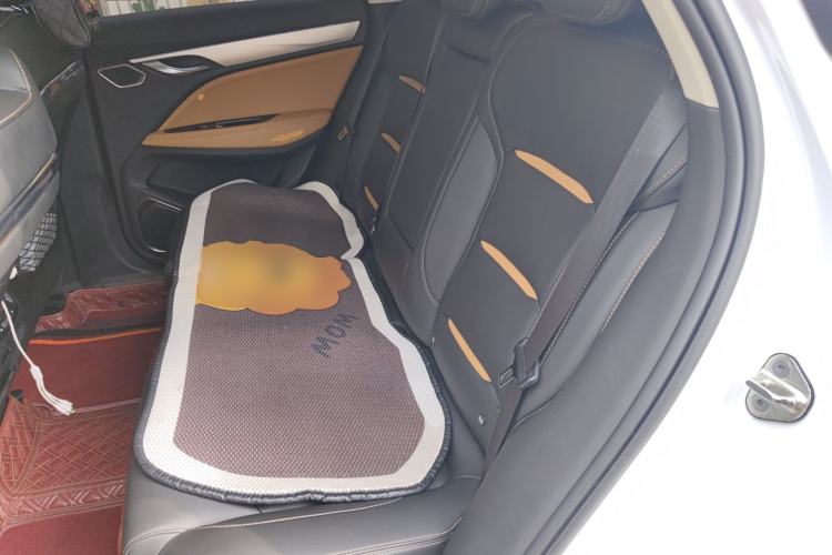 Used Geely Auto Monjaro 2019 300T YAOXINGZHE Left Rear Seat