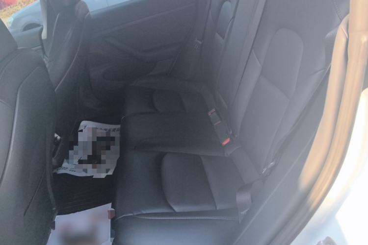 Used Tesla Model 3 2020 Revised Version Standard Range Rear-Wheel Drive – Upgraded Edition
