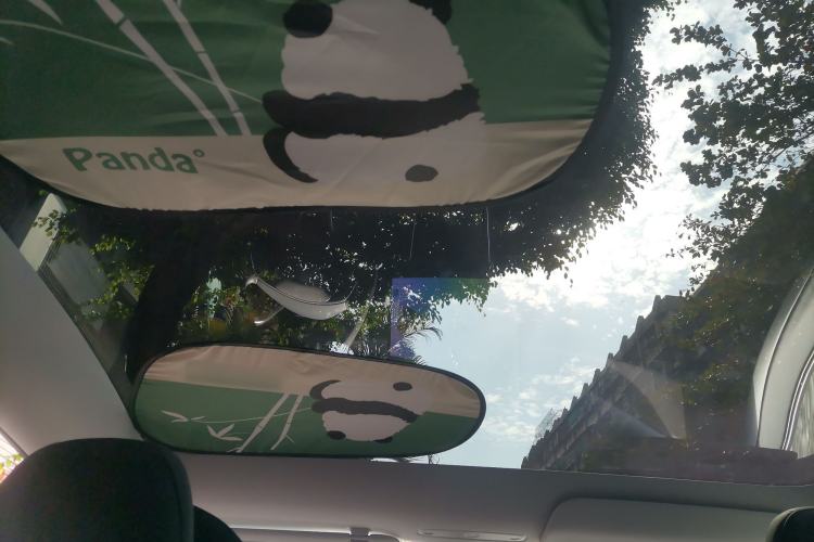 Used Tesla Model Y 2025 Rear-Wheel Drive First Edition