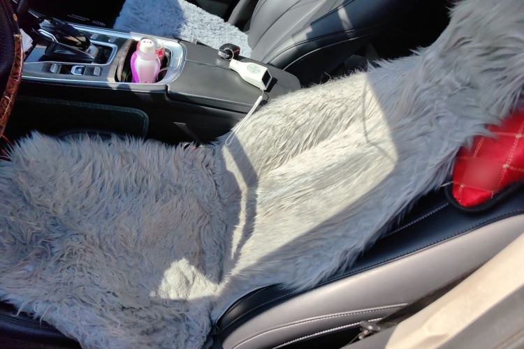 Used Landian E5 2024 Honor Edition 100KM Comfort Model 7 Seats Left Front Seat