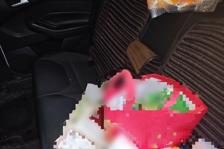 Used Ford Focus 2018 Sedan Classic 1.6L Automatic Trendy SmartDrive Edition Left Rear Seat