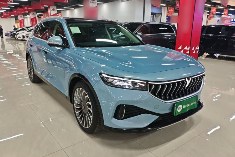 Used VOYAH FREE 2021 Two-Wheel Drive Standard Pure Electric City Edition