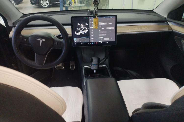 Used Tesla Model Y 2021 Standard Range Rear-Wheel Drive Version
