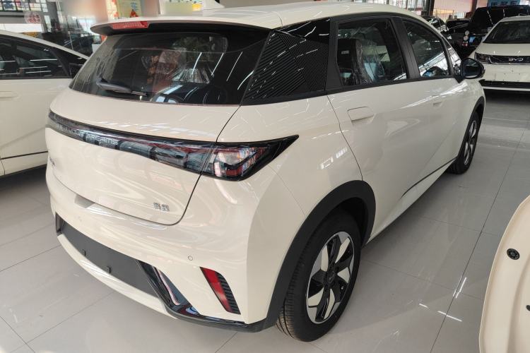 Used BYD Dolphin 2025 420km Free Edition