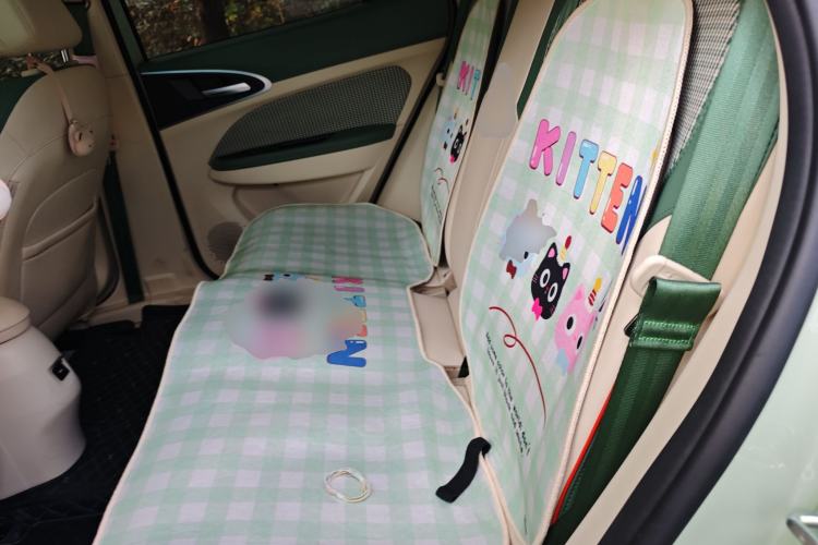 Used ORA Good Cat 2022 Morandi Edition 400km Standard Range Premium Version Lithium Iron Phosphate