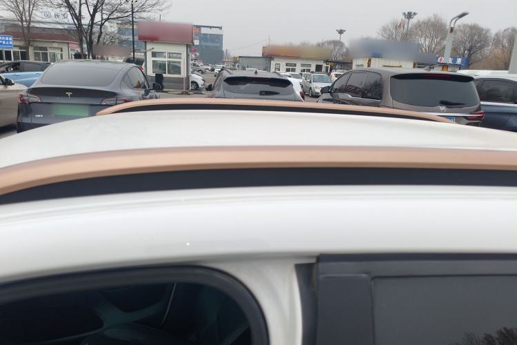 Used Dongfeng NAMMI EX1 2023 PRO Light Wind Edition Lightning Model