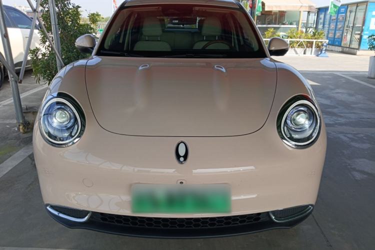 Used ORA Good Cat 2024 401 km Luxury Version