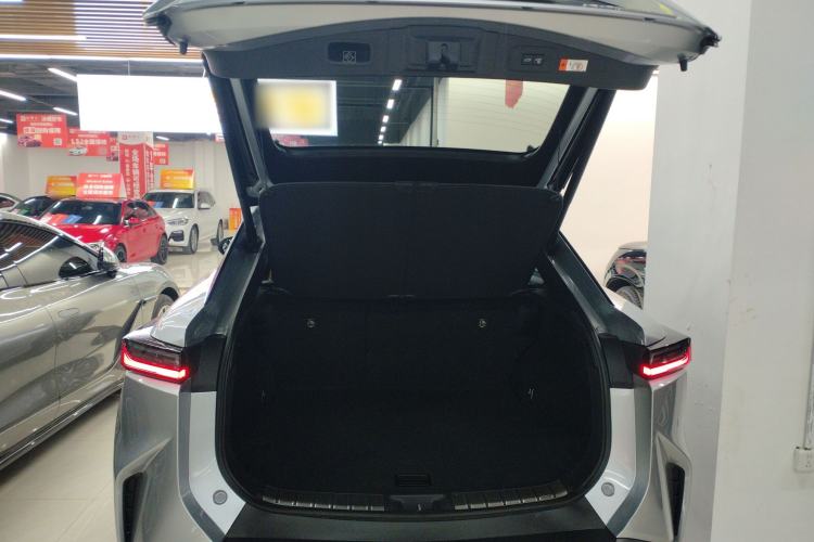 Used Lexus RZ 2023 450e All-Wheel Drive Luxury Edition Trunk