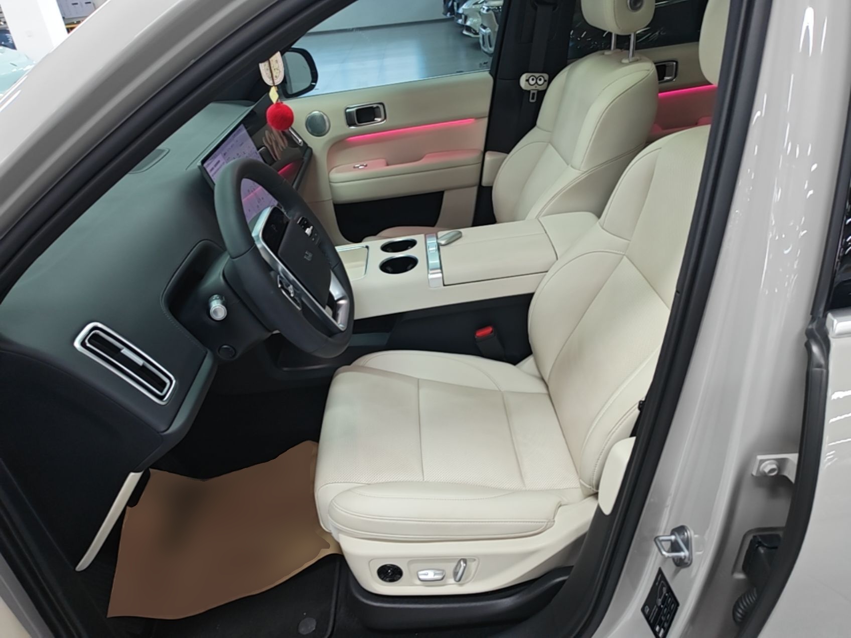 Interior delantero