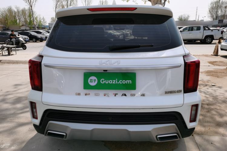Used Kia Sportage R 2021 Ace 2.0L Splendid Edition Rear