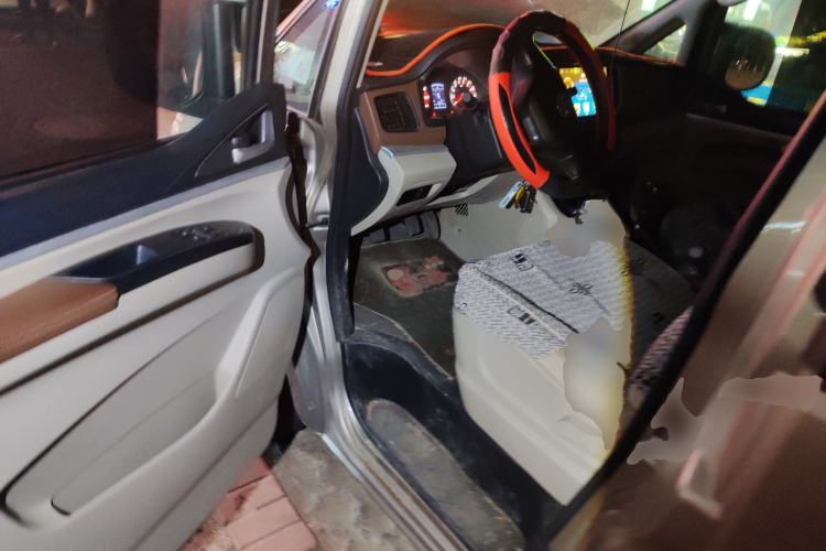 Used FORTHING Lingzhi 2020 M5 1.6L Practical Model
