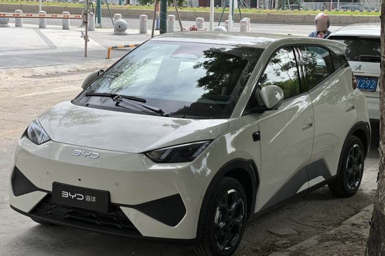 Used BYD Seagull 2025 Smart Drive Version 305 km Freedom Edition