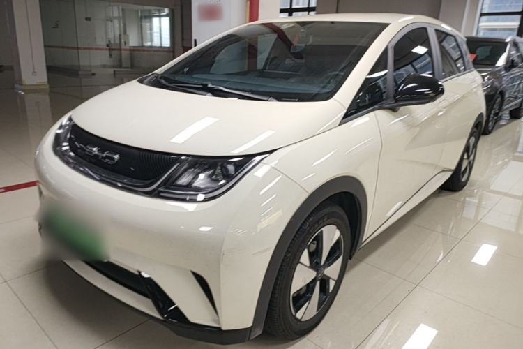 Used BYD Dolphin 2023 420 km Free Version