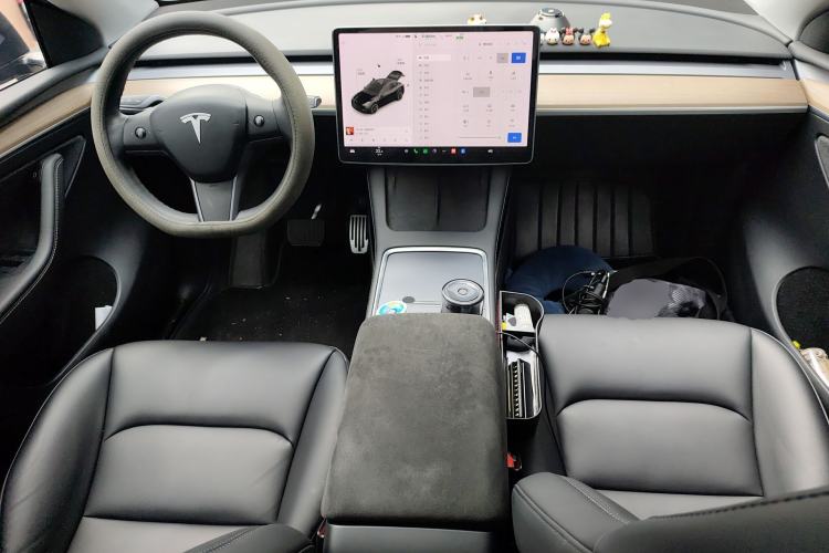 Used Tesla Model Y 2021 Standard Range Rear-Wheel Drive Version
