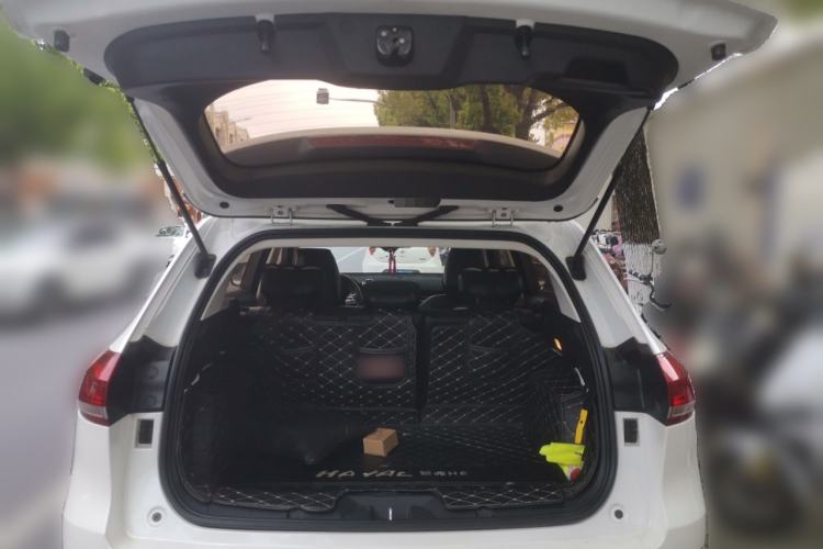 Used Haval H6 2020 2.0 GDIT Automatic Platinum Champion Edition
