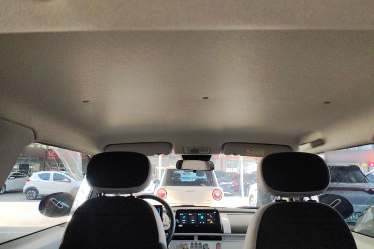 Used Qiyuan Lumin 2023 205km Xiangqin Version
