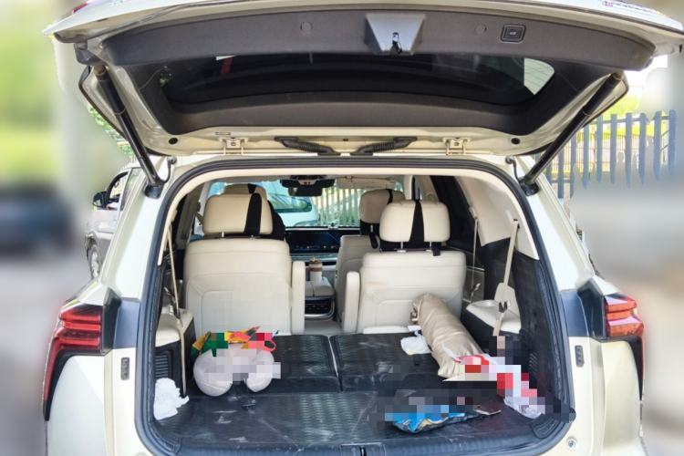 Used Wey Lanshan 2023 Four-Wheel Drive Ultra-Long Range Version