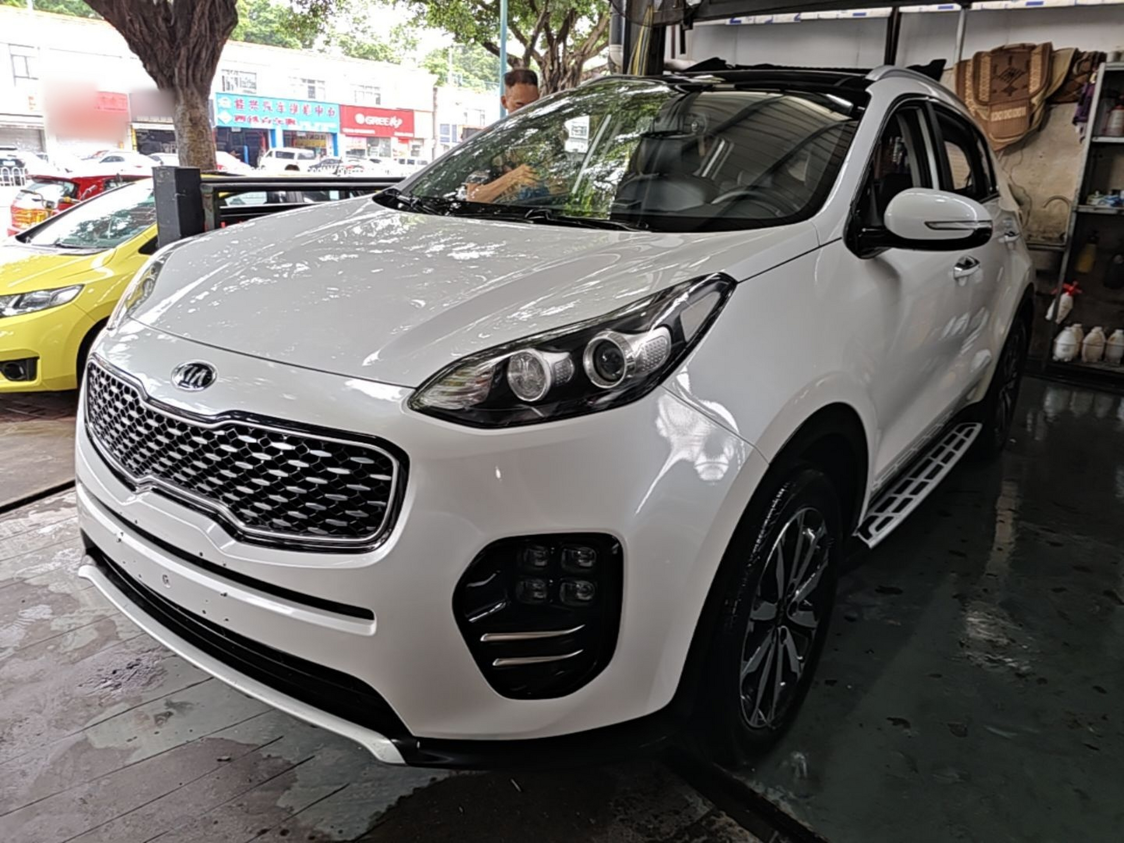 Parte inferior delantera