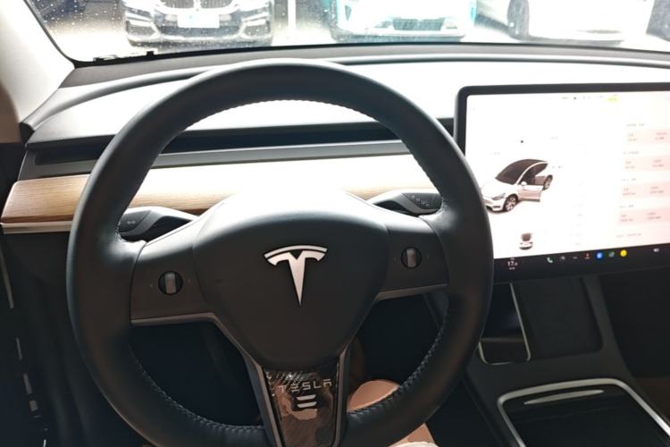 Used Tesla Model Y 2022 Rear-Wheel-Drive Version