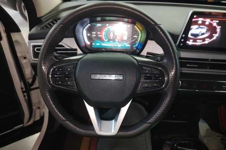 Used Dayun Yuehu 2021 32.85 kWh Two-Wheel-Drive Sprite Version Steering Wheel